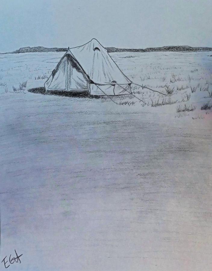 Starlight Tent 2 Holbrook Dış mekan fotoğraf