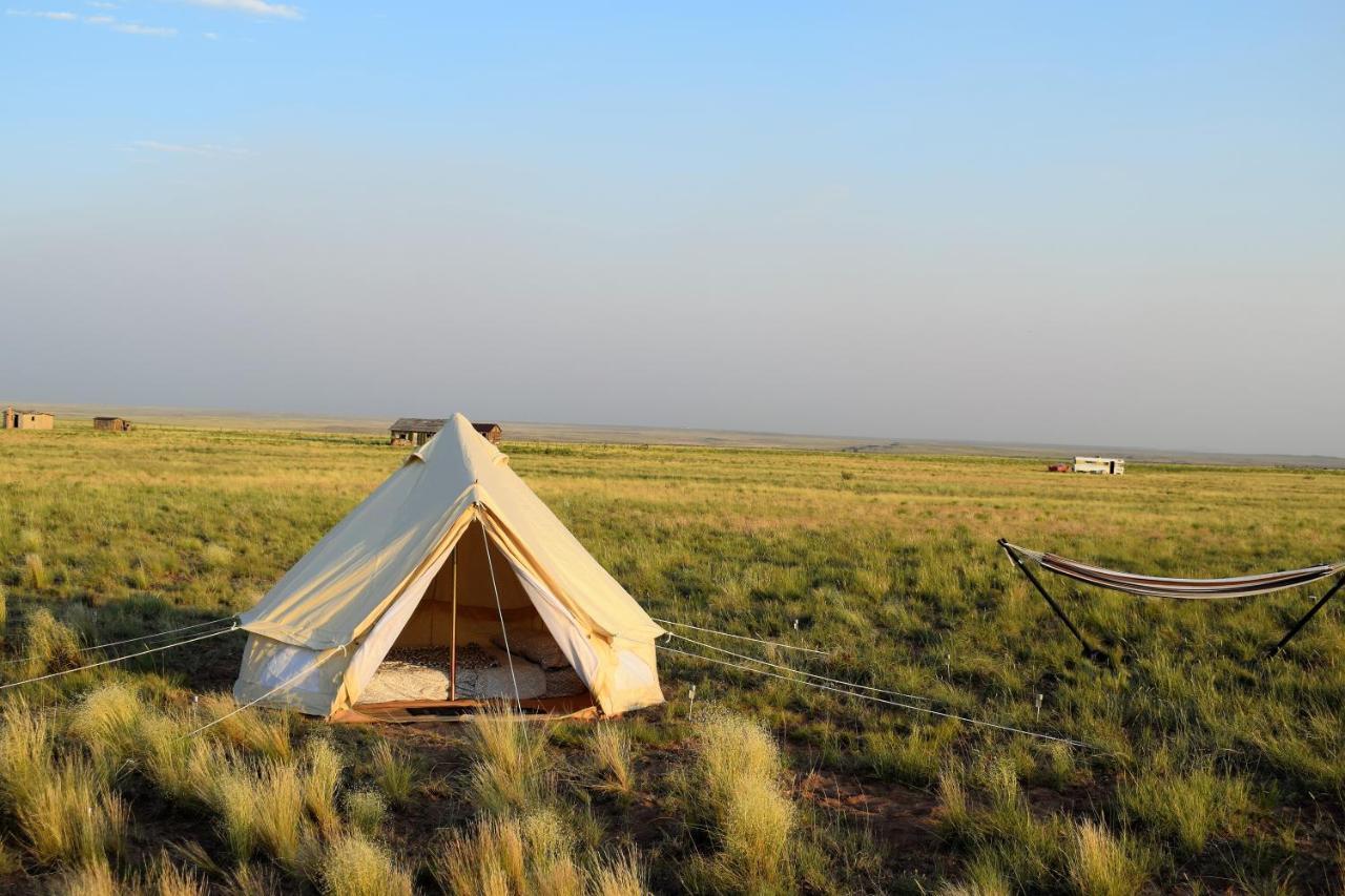 Starlight Tent 2 Holbrook Dış mekan fotoğraf