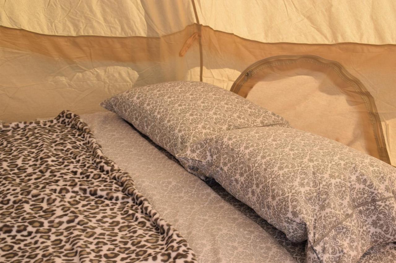 Starlight Tent 2 Holbrook Dış mekan fotoğraf